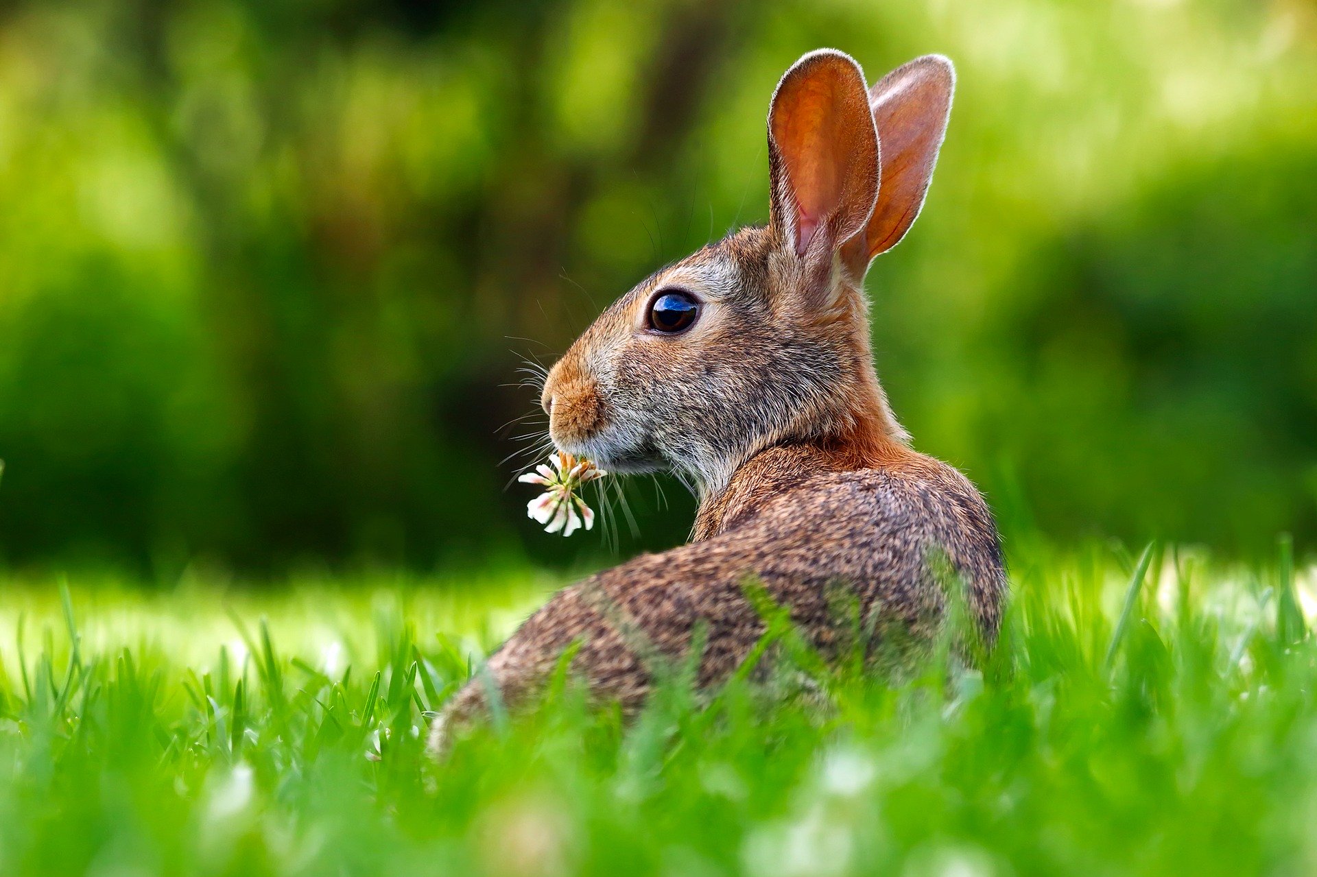 Besinnliches Ostern!