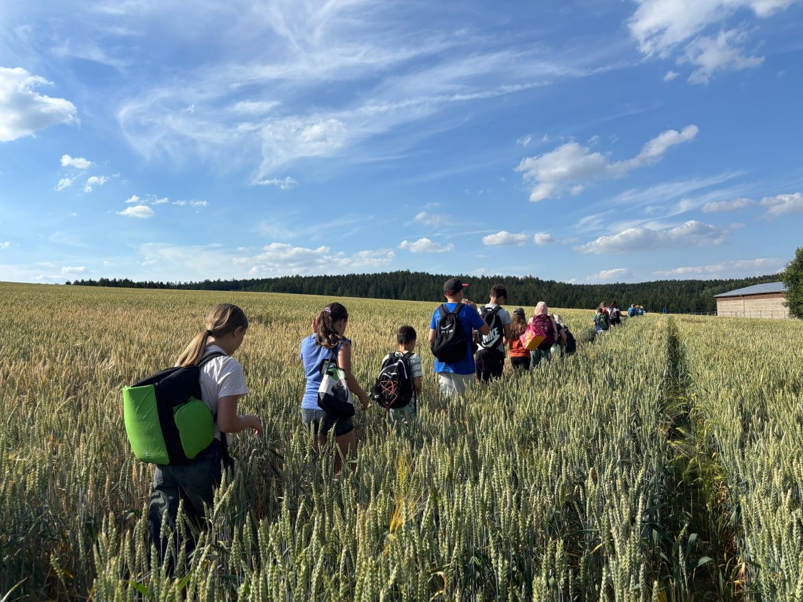 Campwanderung.jpg